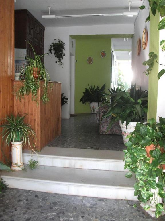 Alojamientos Casa Tejon Михас Екстериор снимка